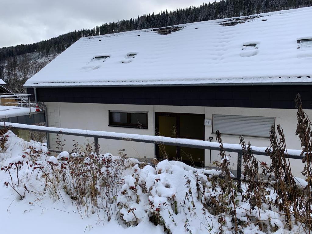 Apartment Am Wasserfall Mit Sauna & Top-Lage Feldberg  Exterior photo